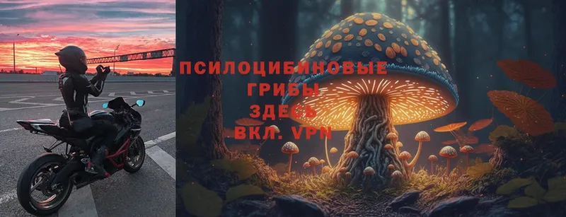 даркнет состав  Высоковск  Галлюциногенные грибы Magic Shrooms  blacksprut ТОР 