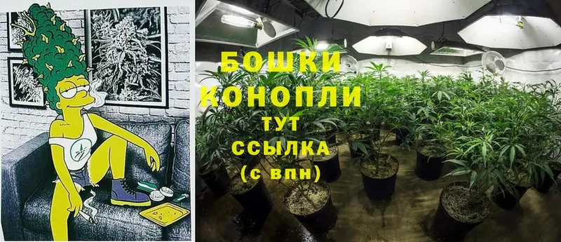 Шишки марихуана White Widow  Высоковск 